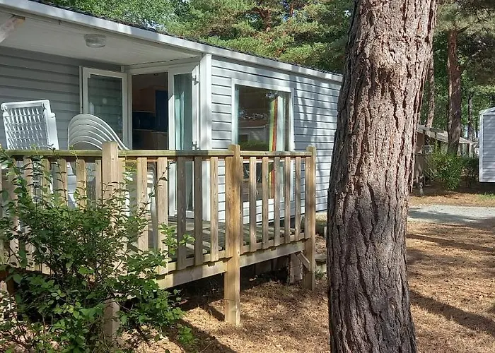 Camping Coeur De Vendee